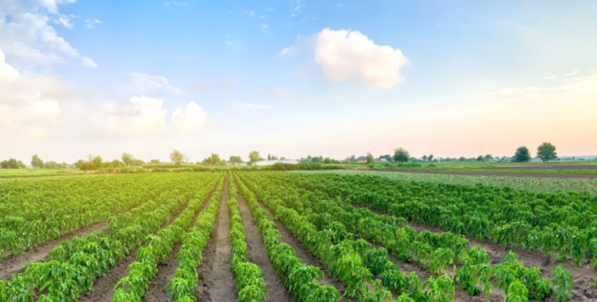 CNA afirma aos EUA que agro brasileiro preserva recursos naturais e combate ao desmatamento