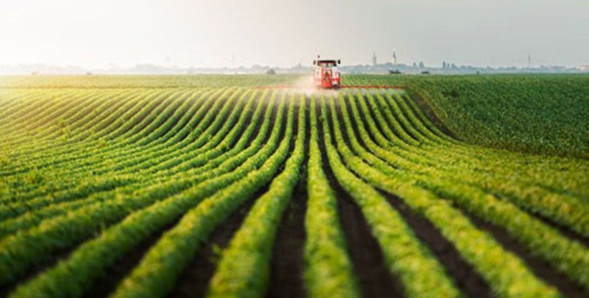 Diversificação dá resiliência ao agro paulista, diz secretário de SP