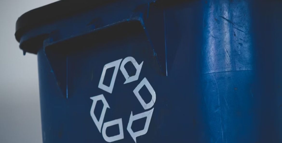 PEC da Reciclagem fortalece cooperativas e impulsiona economia circular