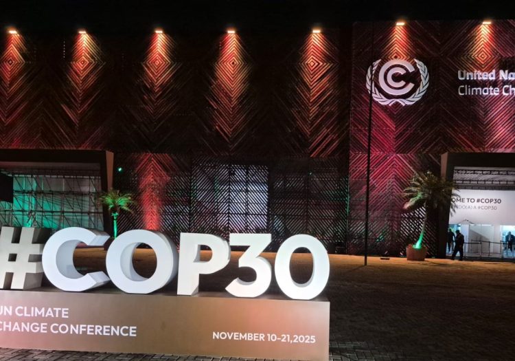 “COP30 é oportunidade para o Brasil mudar narrativa”, diz CEO global da JBS