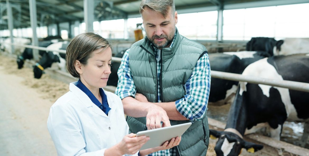 Homem e mulher olhando um tablet