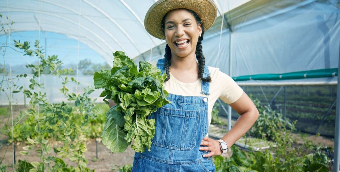 Crédito rural amplia foco em investimento e reforça estratégia