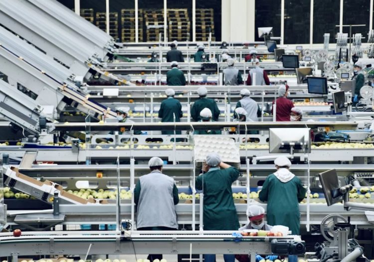 Produção industrial fica estável em novembro e recua na comparação anual