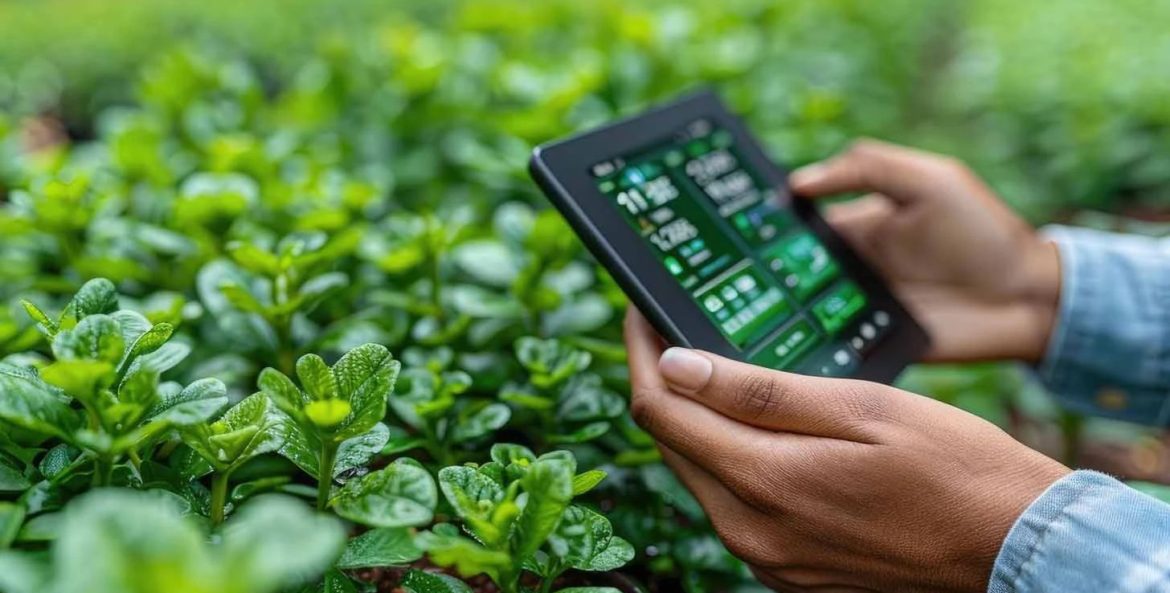 IA sendo usada para os campos