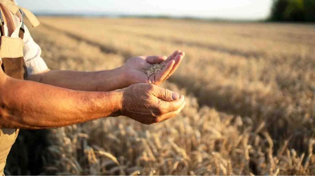 Cooperativas propõem Plano Safra de R$ 674 bilhões para ampliar crédito ao agro