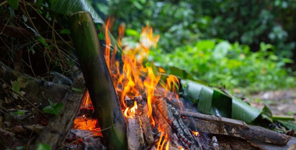 Cooperativismo no combate aos incendios florestais