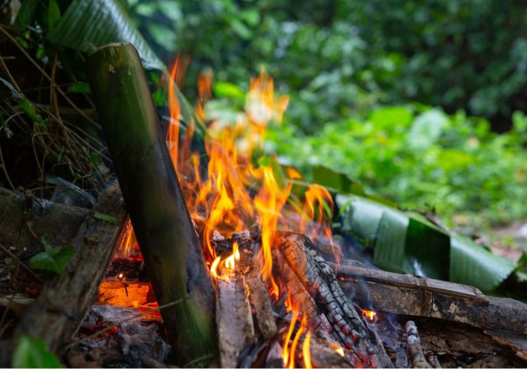 Cooperativismo no combate aos incendios florestais