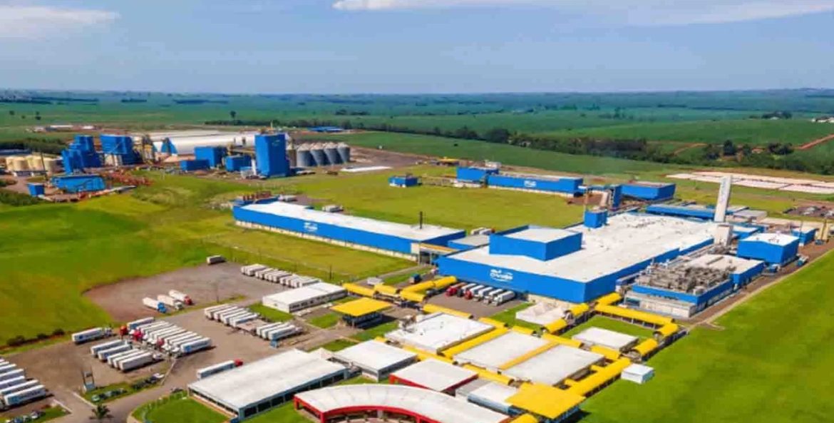 A C.Vale Cooperativa Agroindustrial